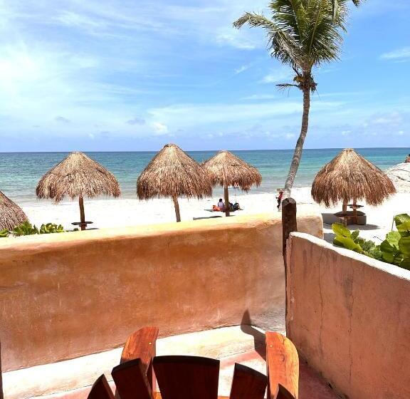 סטודיו דלוקס, La Conchita Tulum