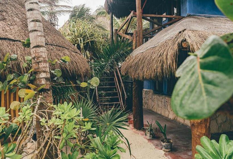 Quarto Estandar, La Conchita Tulum