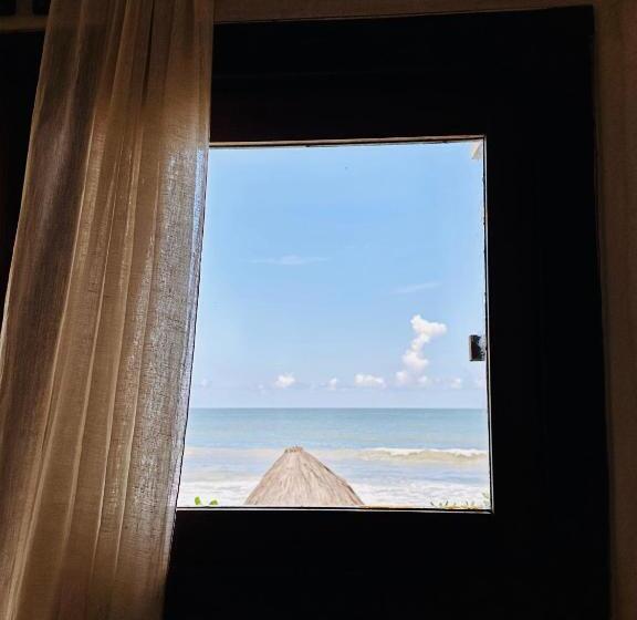 Escritório Deluxe, La Conchita Tulum