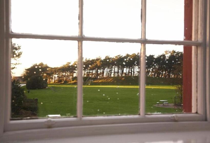 스탠다드 룸, The Golf