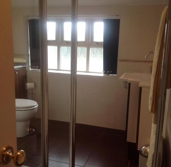 豪华房间, Lilly S Pad