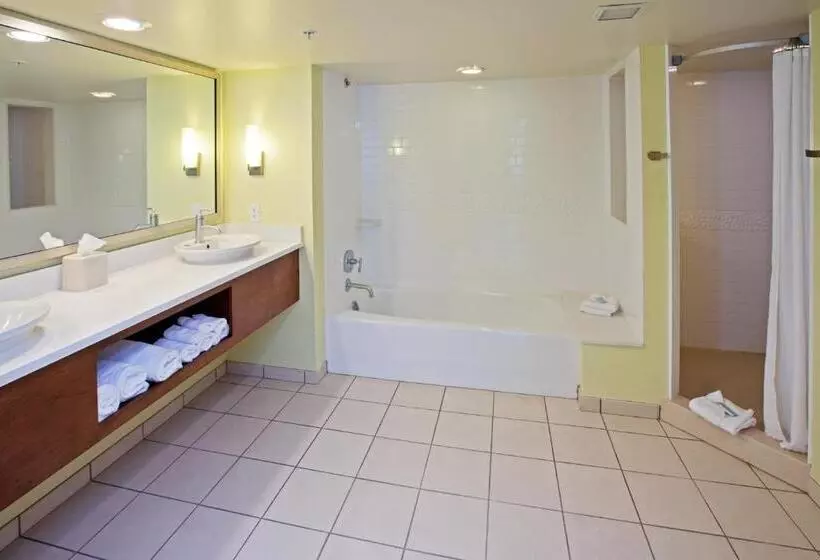 ２ベッドスイートルーム, Holiday Inn Express Indianapolis  Fishers, An Ihg