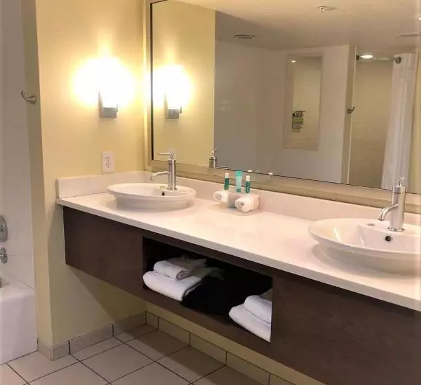 ２ベッドスイートルーム, Holiday Inn Express Indianapolis  Fishers, An Ihg