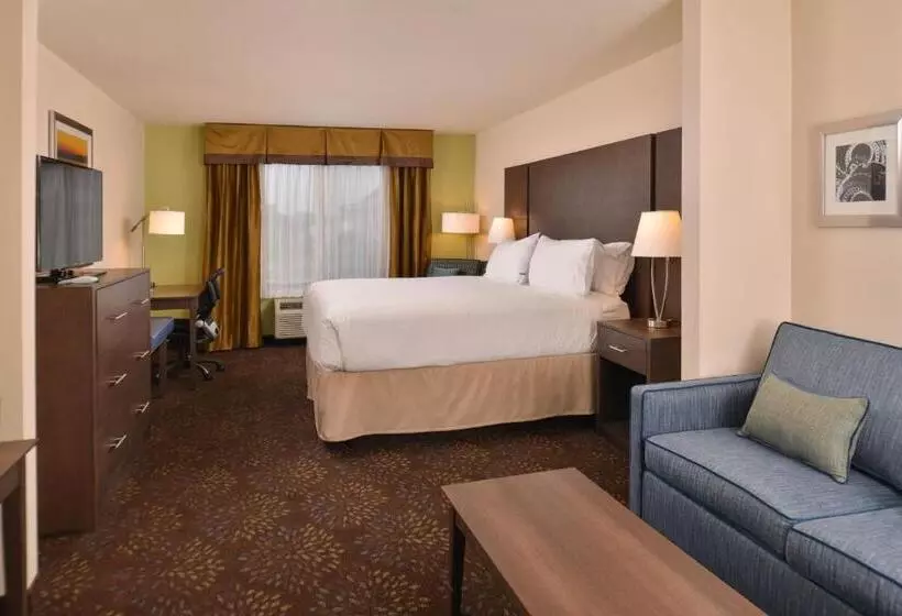 身障者適用スイートルーム, Holiday Inn Express & Suites Dearborn Sw   Detroit Area, An Ihg