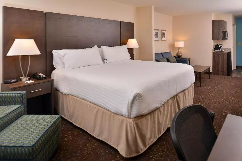 身障者適用スイートルーム, Holiday Inn Express & Suites Dearborn Sw   Detroit Area, An Ihg