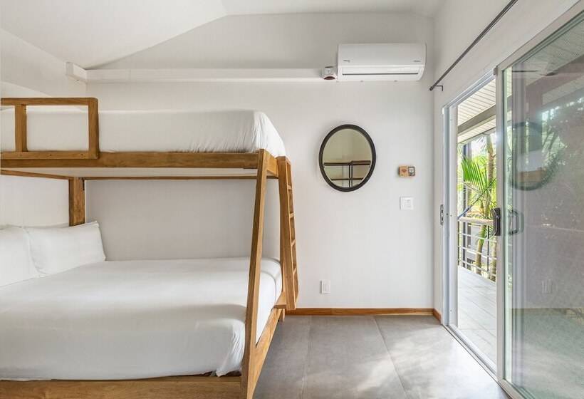 高级大房间, Ventura Santa Teresa