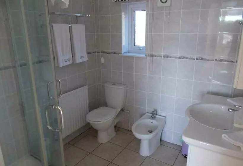 Habitació Estàndard Llit King, Penarth Guest House