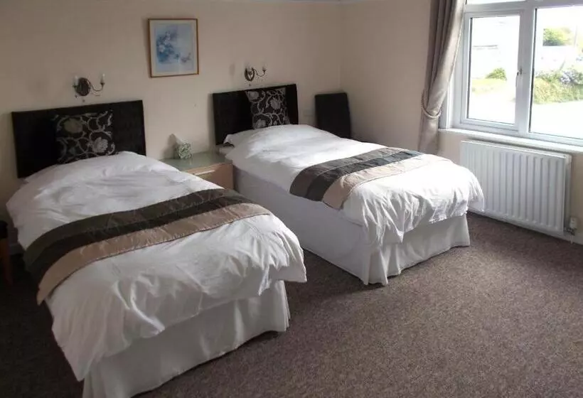 Habitació Estàndard, Penarth Guest House