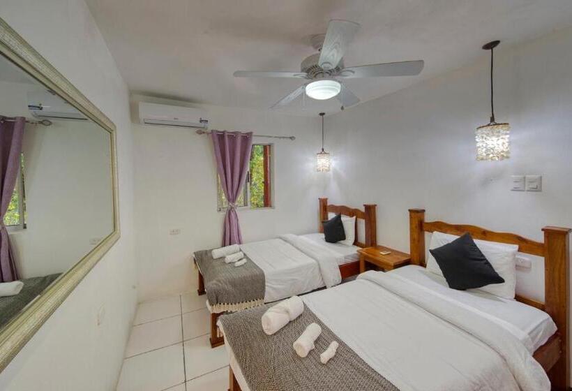 スタンダードルーム, Jungle S Edge