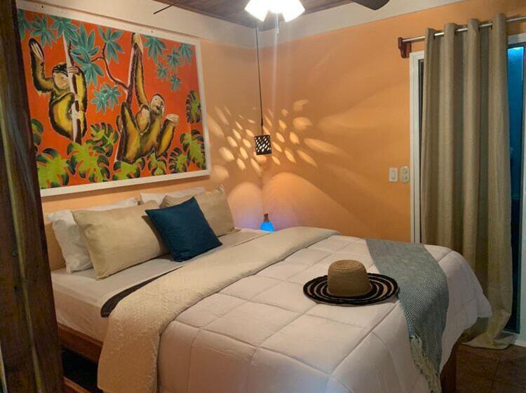 スタンダードルーム, Jungle S Edge