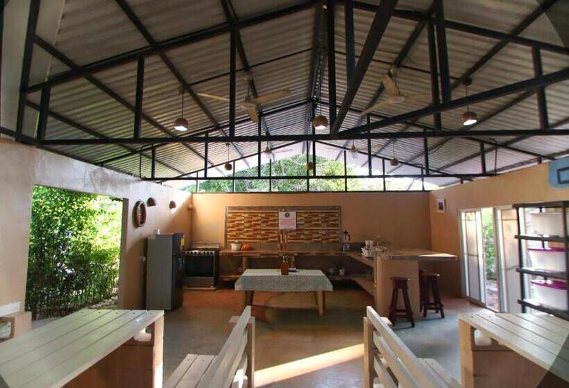 スタンダードルーム, Jungle S Edge