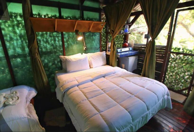 キャビン, Jungle S Edge