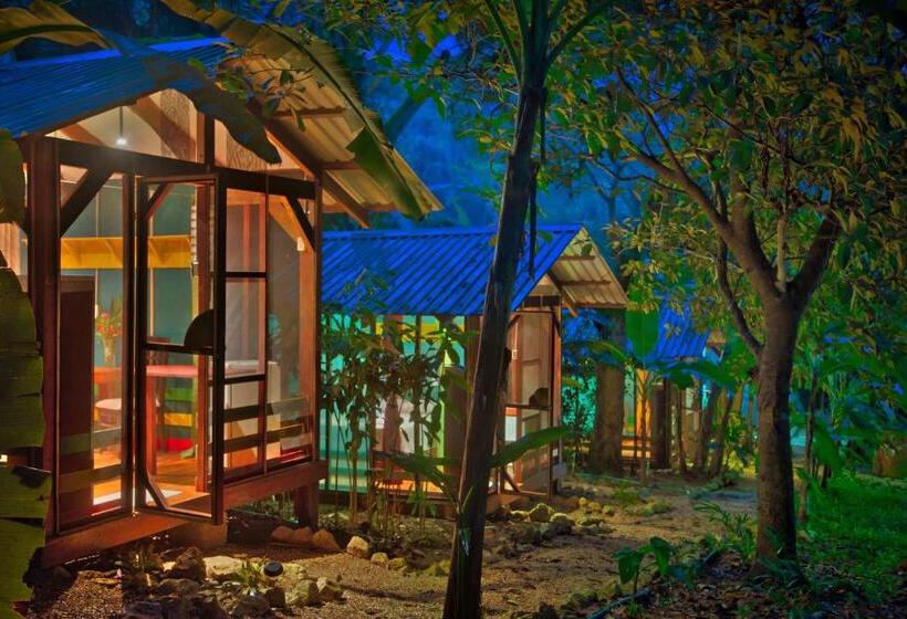 キャビン, Jungle S Edge