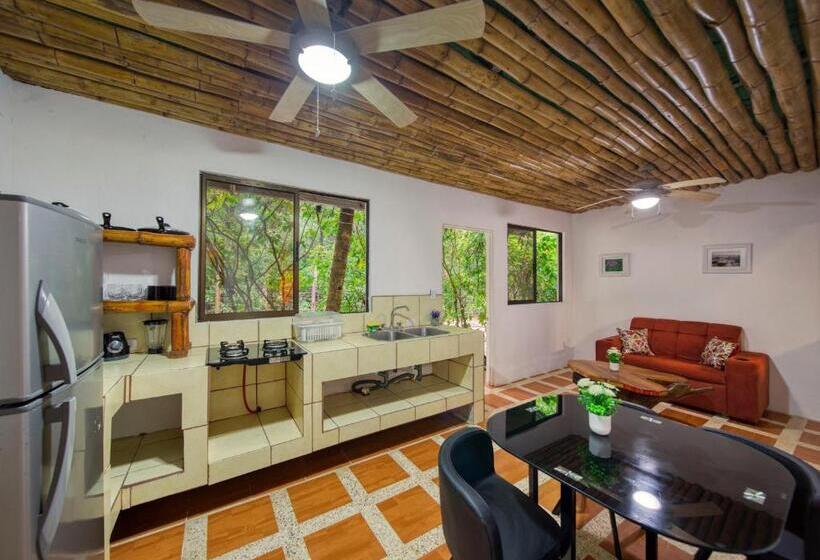 デラックスルーム, Jungle S Edge