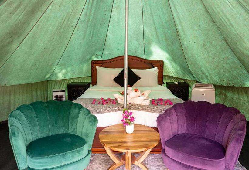 Standard Tent, Jungle S Edge