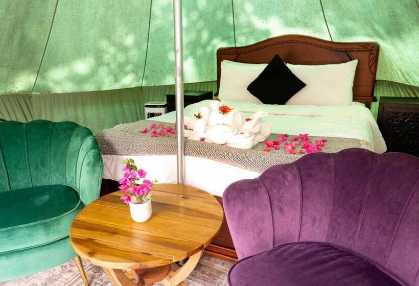 Standard Tent, Jungle S Edge