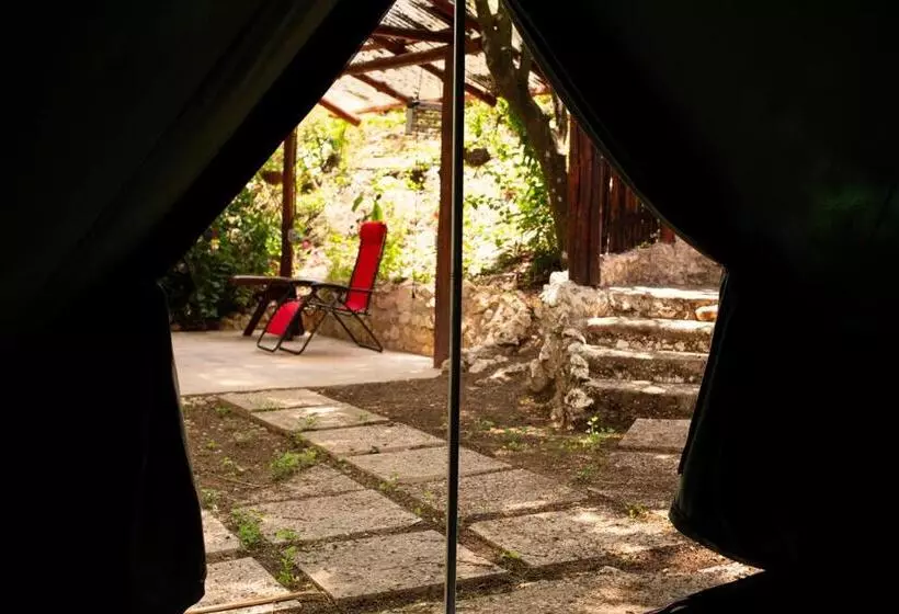 Standard Tent, Jungle S Edge