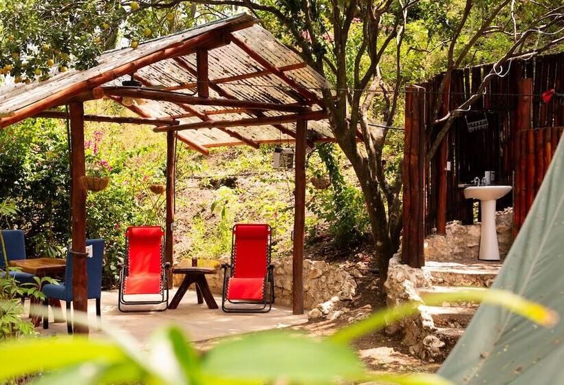 Standard Tent, Jungle S Edge