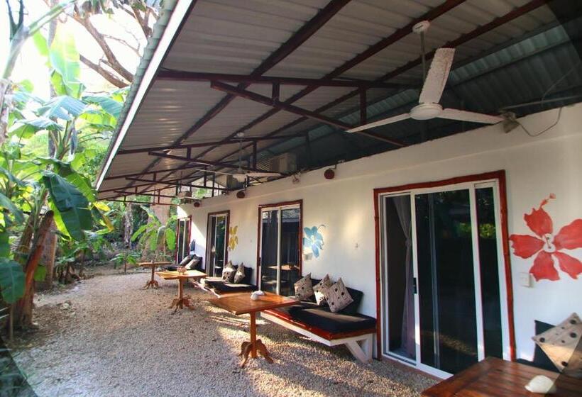 スタンダードルーム, Jungle S Edge