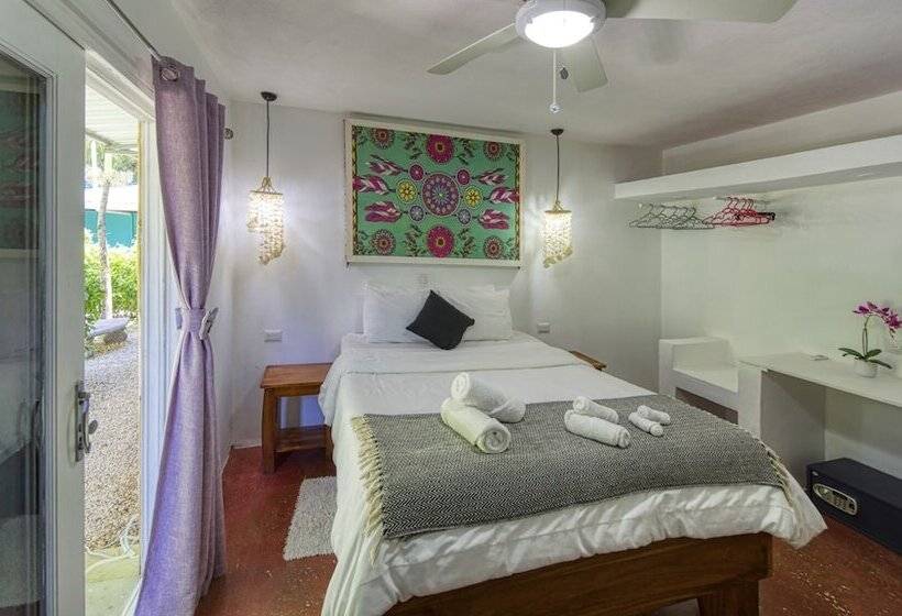 スタンダードルーム, Jungle S Edge