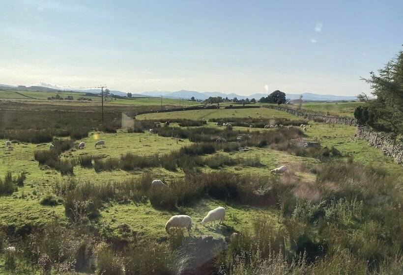 Номер Стандарт, Llwyn Onn Guest House, North Wales