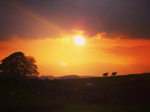 スタンダードルーム, Llwyn Onn Guest House, North Wales