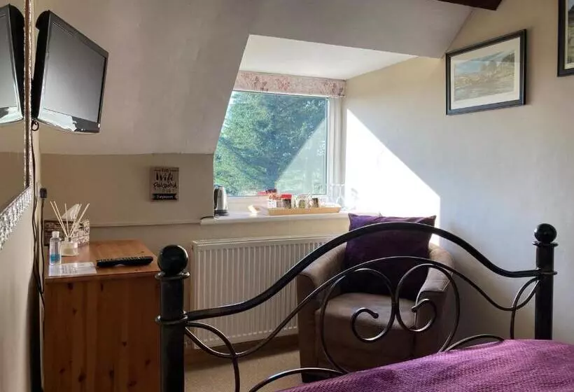 スタンダードルーム, Llwyn Onn Guest House, North Wales