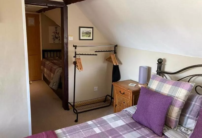 スタンダードルーム, Llwyn Onn Guest House, North Wales