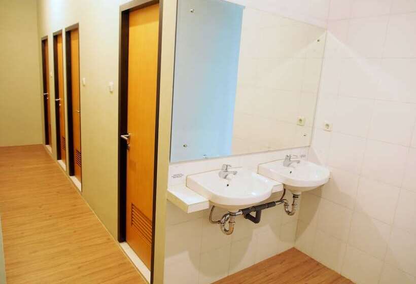 تختخواب در اتاق مشترک, The Packer Lodge Hostel