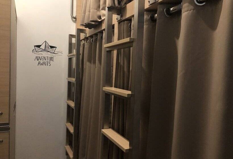 تختخواب در اتاق مشترک, The Packer Lodge Hostel