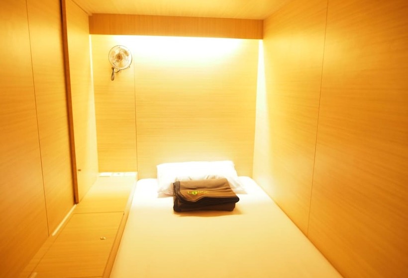 تختخواب در اتاق مشترک, The Packer Lodge Hostel