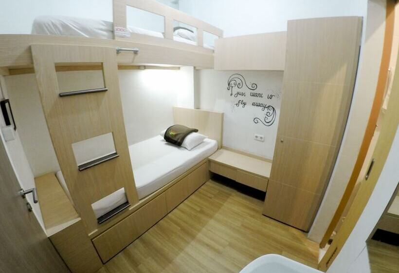 اتاق استاندارد, The Packer Lodge Hostel