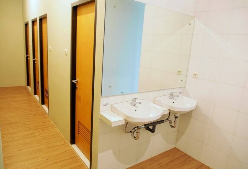 تختخواب در اتاق مشترک, The Packer Lodge Hostel