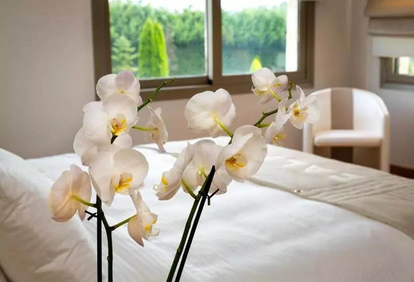 سوییت, Calma Hotel & Spa