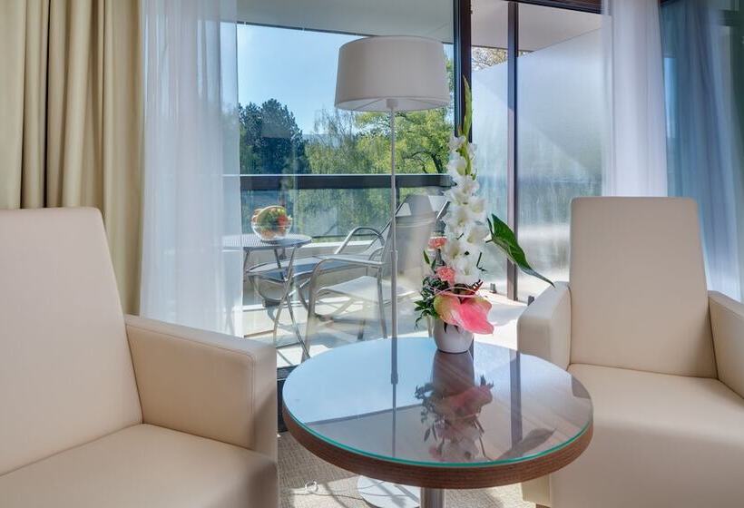 اتاق پرمیوم, Ensana Esplanade