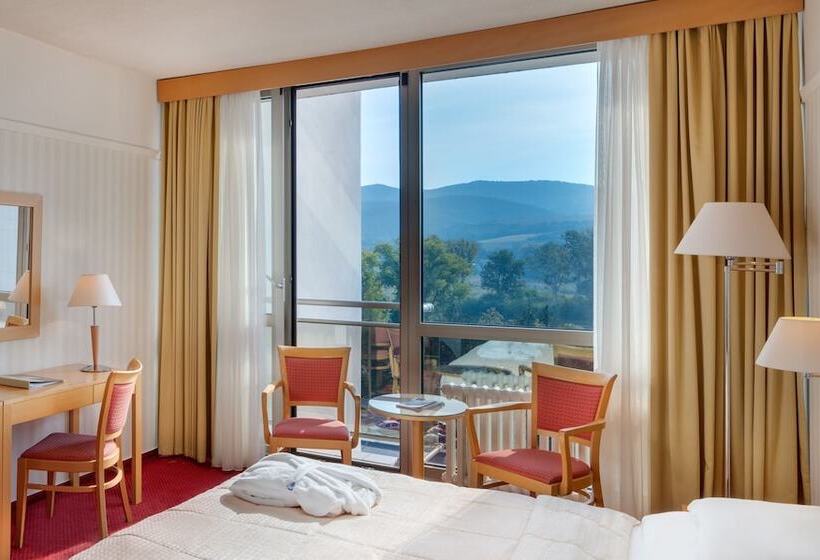 اتاق سوپریور یک تخته, Ensana Esplanade