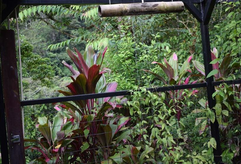 سوییت با چشم‌انداز کوه, Quelitales