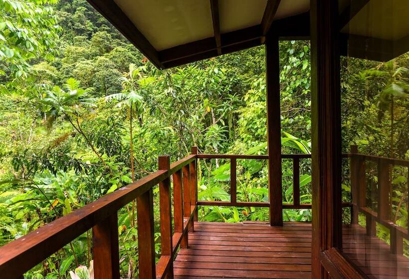 سوییت با چشم‌انداز کوه, Quelitales