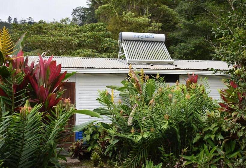 سوییت, Quelitales