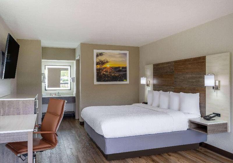 스탠다드 룸 가든 전망, Wels