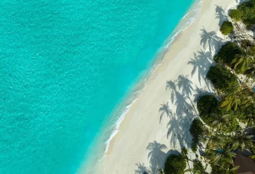 ویلای 1 خوابه, Avani Plus Fares Maldives Resort