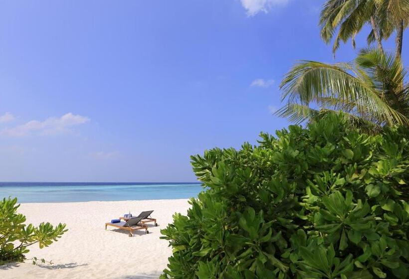 ویلای یک اتاق خوابه با استخر شنا, Avani Plus Fares Maldives Resort   50 Percent Off On Seaplane Transfer For Stays Until 22 December 2