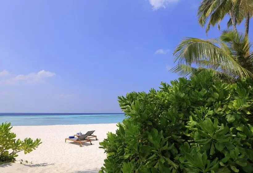 ویلای یک اتاق خوابه با استخر شنا, Avani Plus Fares Maldives Resort
