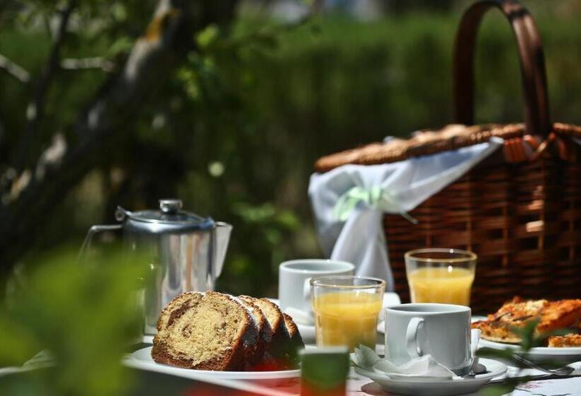 Студия Стандарт, Dendrolivano