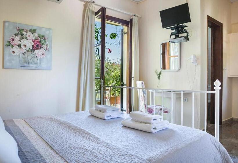 Студия Стандарт, Dendrolivano