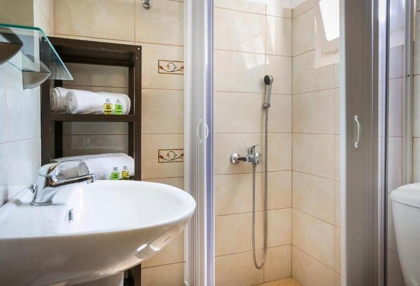 Студия Стандарт, Dendrolivano