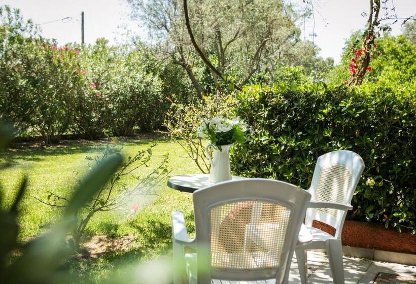 Студия Стандарт, Dendrolivano