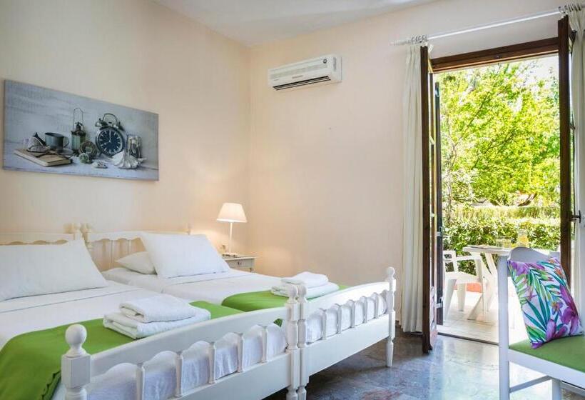 Студия Стандарт, Dendrolivano