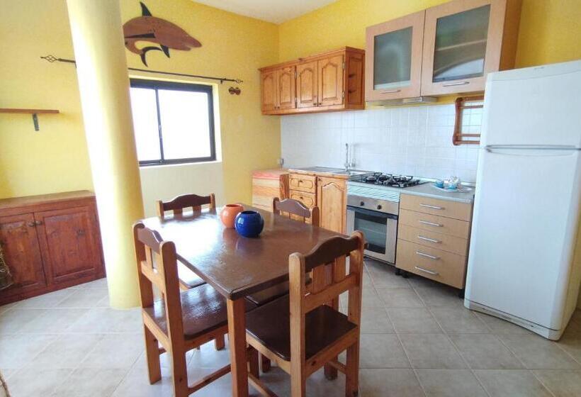 Lejlighed 1 Soveværelse, B&b Salinas Boa Vista Wifi Free