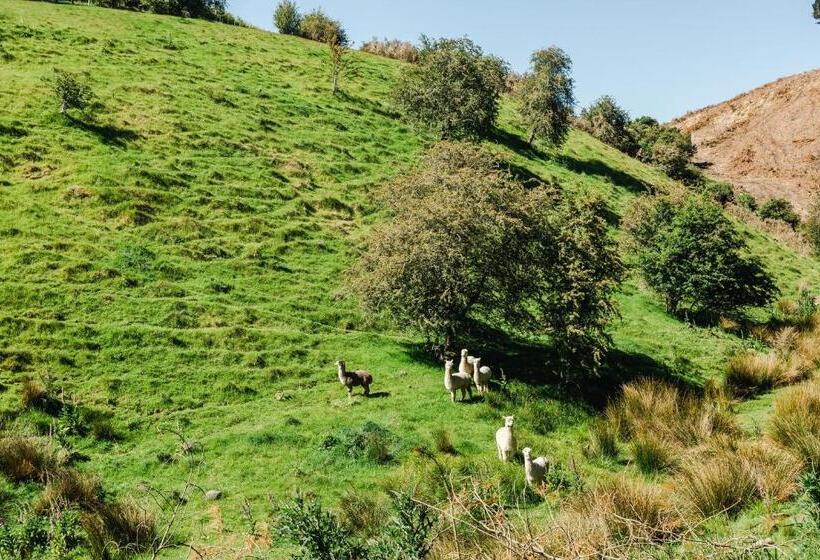 اتاق استاندارد, Hunters Moon